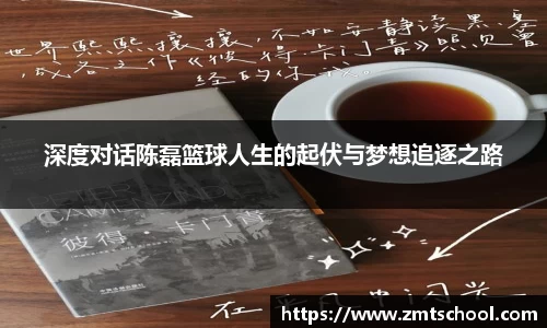 深度对话陈磊篮球人生的起伏与梦想追逐之路